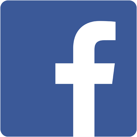 social media facebook dinoland