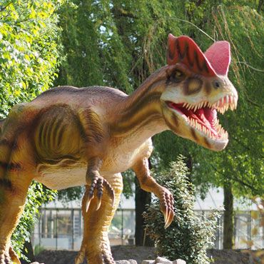 dinoland-dilophosaurus