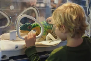 Baby dinos couveuse 11