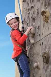 Pterosaur Climbing Wall