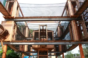 Netze Kurs Dinoland Zwolle