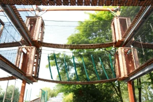 Netze Kurs Dinoland Zwolle