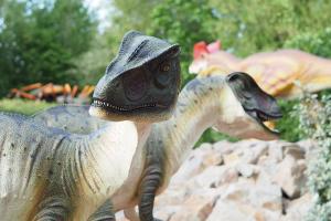 De allosaurus van Dinoland kijkt je nieuwsgierig aan met de tanden zichtbaar. Moet je hier nu bang van worden of niet?