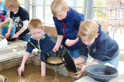 Kinderen zoeken met behulp van bakjes naar goud in een bak met water als ware goudzoekers bij Dinoland Zwolle.