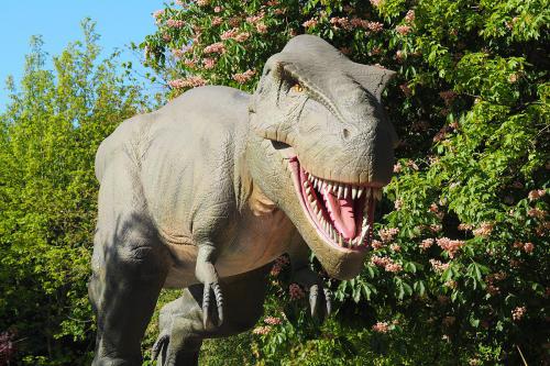 Levensgrote Tyrannosaurus Rex (T-Rex) bij Dinoland